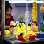 Mobilizing Private Capital